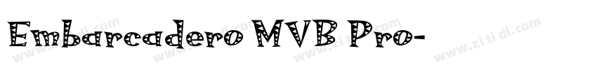 Embarcadero MVB Pro字体转换